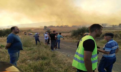 Tekirdağdaki orman yangını balya makinasındaki kıvılcımla çıkmış