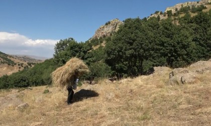 Tırpan ile biçtikleri otları 1 kilometre sırtlarında taşıyarak kışa hazırlık yapıyorlar