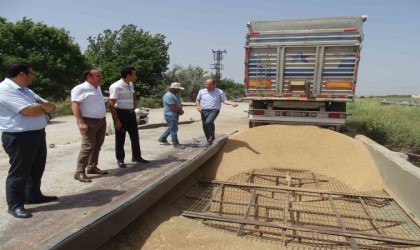 TMOnun üreticiden aldığı yılın ilk mahsulleri yerinde incelendi