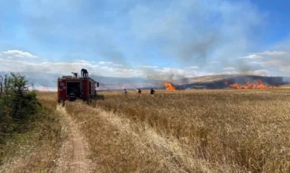 Tokat’ta 15 dönüm buğday tarlası kül oldu