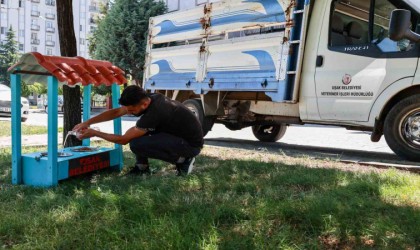 Uşak Belediyesi yaz aylarında sokak hayvanları unutmadı