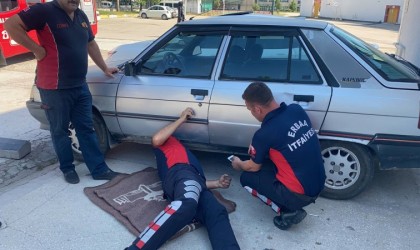 Yaramaz kedi itfaiye ekiplerini harekete geçirdi, yakalamak hiç de kolay olmadı