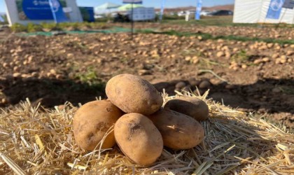 90 çeşit patates fuarda görücüye çıktı