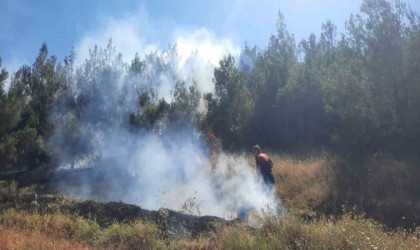 Amasyada çıkan yangın ormanlık alana sıçradı