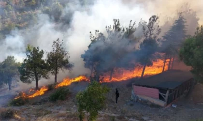 Amasya’da Harşena Kalesi yakınında orman yangını