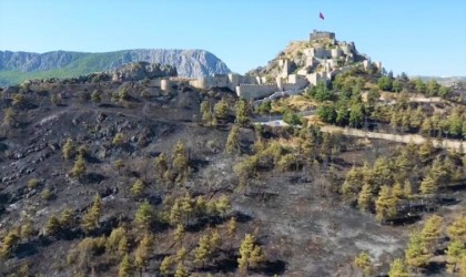 Başkan Çelik açıkladı: “Amasya Kalesi surları yangında zarar görmedi”