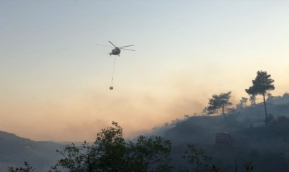 Bilecikte korkutan orman yangını