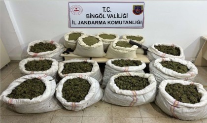 Bingölde 11 milyon kök kenevir ve 163 kilo toz esrar ele geçirildi