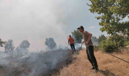 Bingölde 5 farklı noktada çıkan yangın kontrol altına alındı