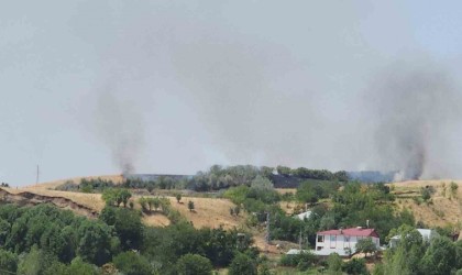 Bingölde ağaçlık alanda çıkan yangın büyümeden söndürüldü