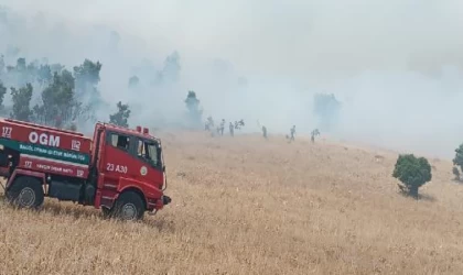 Bingöl’de çıkan orman yangını 7 saatte kontrol altına alındı