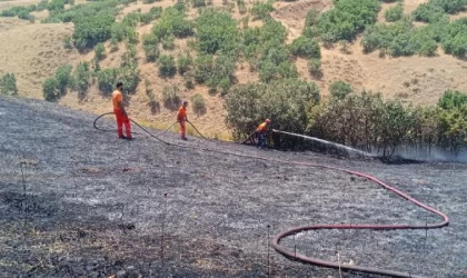 Bingöl’de orman yangını