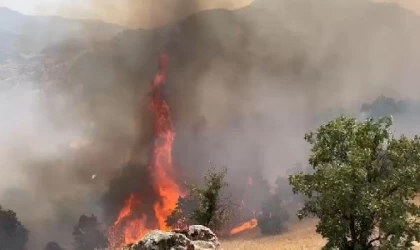 Bingöl’deki orman yangınında 2’nci gün