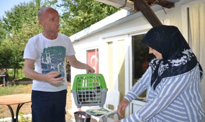 Bozüyük Belediyesinden kısırlaştırma yapanlara mama desteği