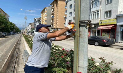 Elektrik direklerine ahşap kaplama