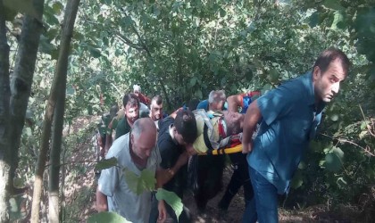 Fındık toplarken 30 metrelik yamaçtan aşağıya yuvarlandı