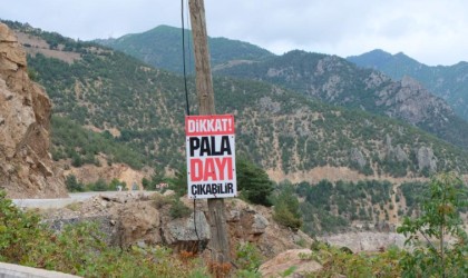 Gümüşhanede “Dikkat Pala Dayı Çıkabilir” yazılı uyarı tabelası sürücüleri şaşırtıyor