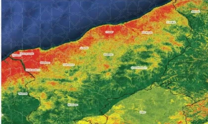 ‘Heyelanlarda en büyük etken, kontrolsüz ağaç kesimi’