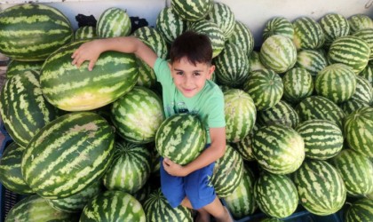 Hıdıroz karpuzu tezgahlardaki yerini aldı