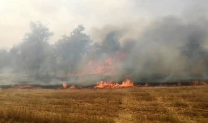 Ispartada traktörden sıçrayan yangın korku dolu anlar yaşattı