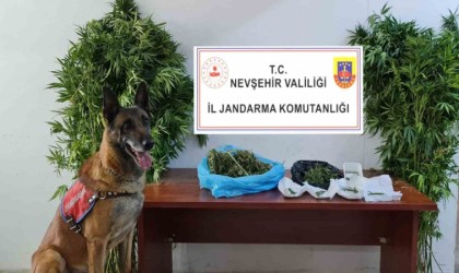 Jandarmadan uyuşturucu tacirlerine geçit yok