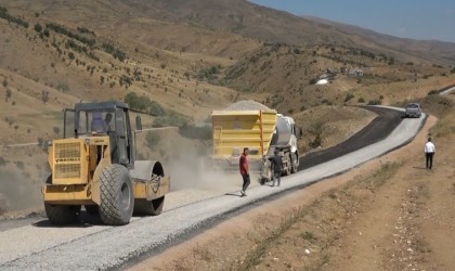 Muşta boşalan köyler yeniden doluyor