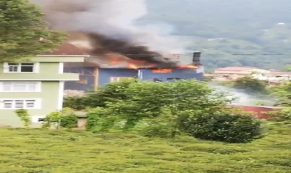 Rize’de, özel çay fabrikasında yangın