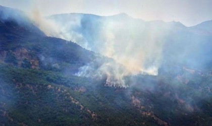 Siirtteki orman yangını 52 saatin sonunda söndürüldü