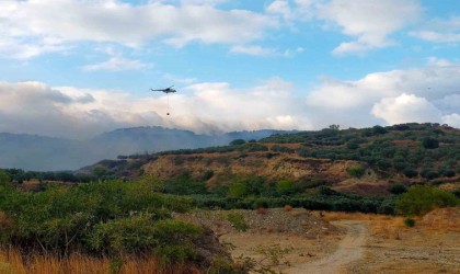 Tekirdağda orman yangını korkuttu