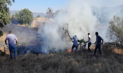 Tokat’ta arazide çıkan yangın ormana sıçramadan söndürüldü