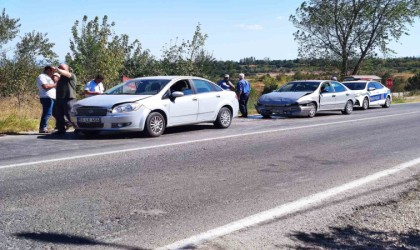 Yola çıkan köpek kazaya neden oldu: 1 yaralı