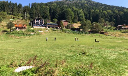 Ayder Yaylası yerli turistlere kaldı