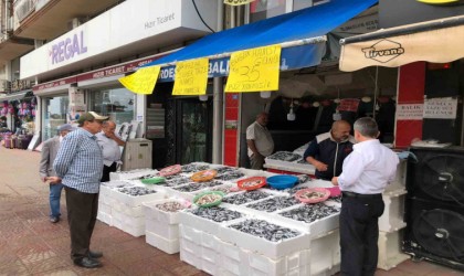 Balıkçılar halk günü yaptı: Hamsinin kilosu 35 TLden satışa sunuldu