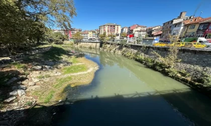 Bartın Irmağı’nda toplu balık ölümleri