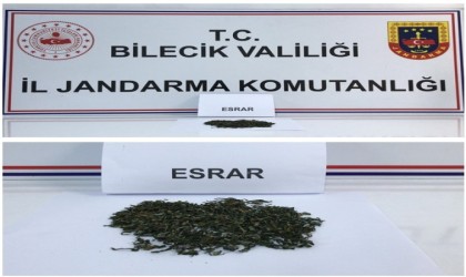 Bilecikte uyuşturucu operasyonu: 2 kişi gözaltına alındı