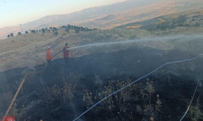 Bingölde yangın ormana sıçramadan söndürüldü