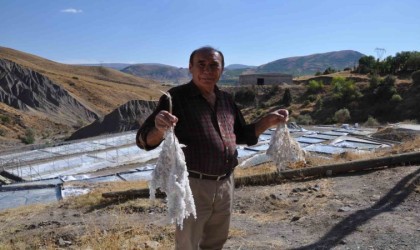 Bu tuzlar üretildiği şekliyle tüketiliyor