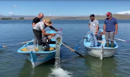 Çıldırdaki doğal yaşama 150 bin yavru sazan desteği