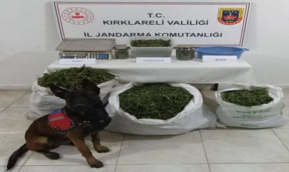 Kırklarelinde bir evden 22 kilo esrar çıktı