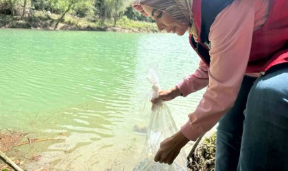 Osmaniyede Tahta Barajına 20 bin pullu sazan yavrusu bırakıldı