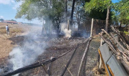 Sinopta çıkan eş zamanlı yangınlar korkuttu