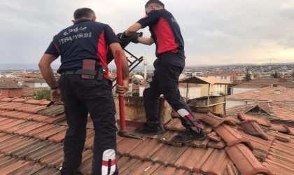 Tokat’ta baca deliğine düşen yavru kediyi itfaiye kurtardı