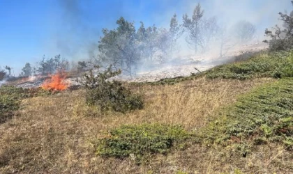 Tokat’ta orman yangını 1 saatte kontrol altına alındı