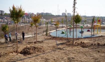 Adıyaman Millet Bahçesi ağaçlandırılıyor