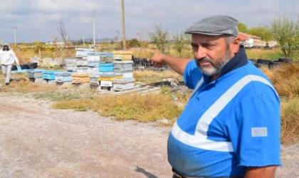 Aksaray’dan çalıp Nevşehir’e götürdüğü arı kovanlarını, yakalanınca minibüsüyle geri getirdi