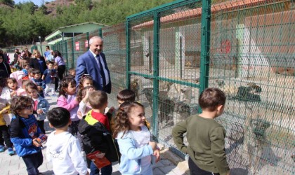 Amasya Belediyesi hayvan barınağına veteriner hekimler odası başkanından tam puan: “Gezerken gurur duyuyorum”