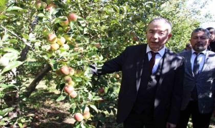 Amasya Valiliği elma için özel projeler planlayacak