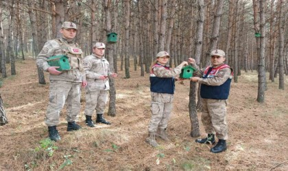 Ardahanda ormana 20 adet kuş kafesi konuldu