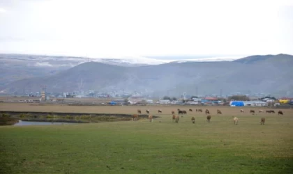 Ardahan’ın yükseklerinde kar yağışı