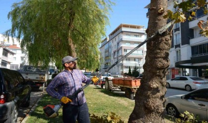 Bozüyükte yeşil alanlarda çalışmalar devam ediyor